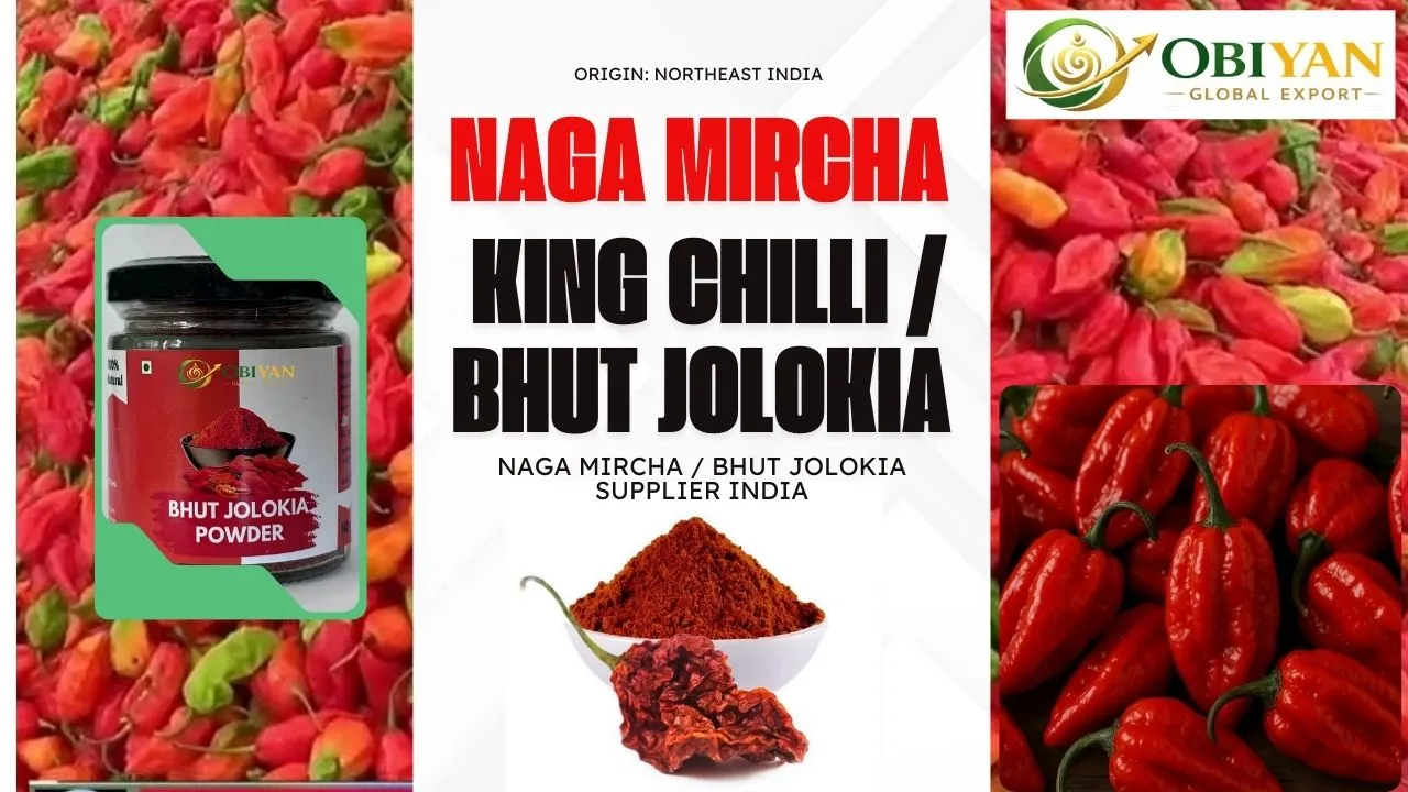 Naga Mircha Bhut Jolokia King Chilli Supplier from Northeast India for Bulk Export